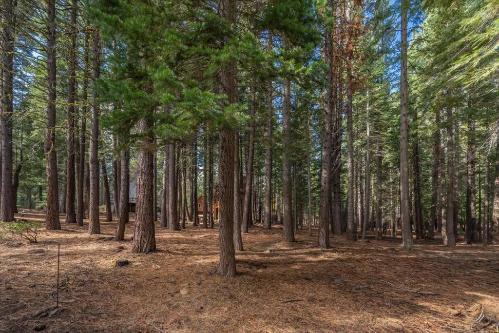 3Br Tahoe Donner Cabin With Hoa Perks Like Pools Hot-Tub Minutes To Trails Lake Golf Truckee Extérieur photo